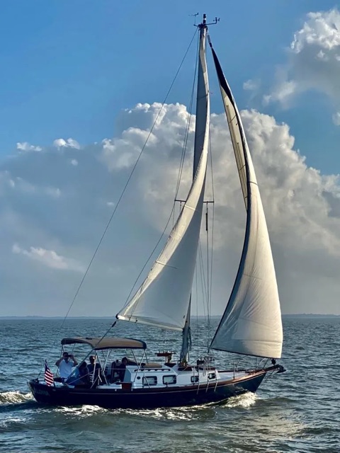 Maloha