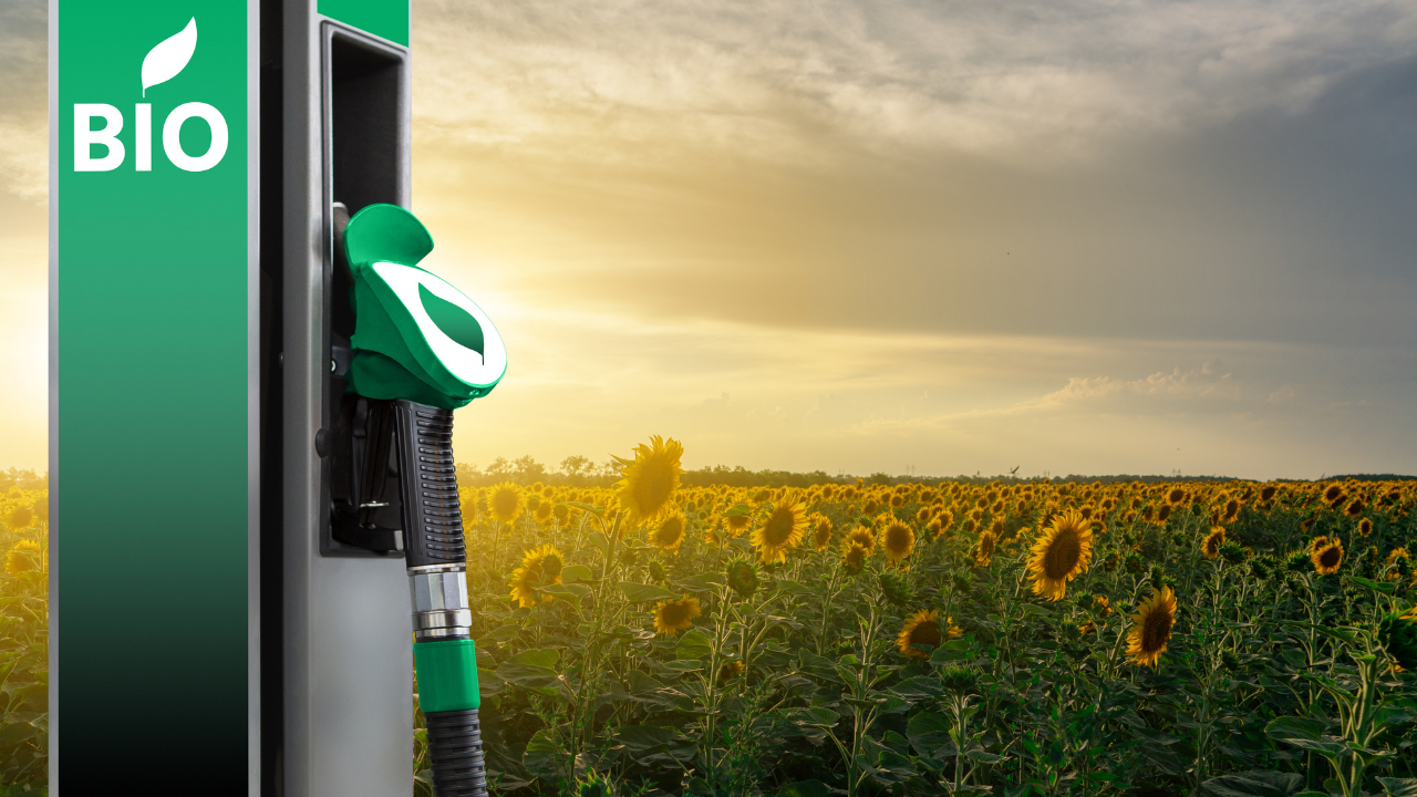 Biodiesel Fuel: A Greener Alternative's Pros and Cons